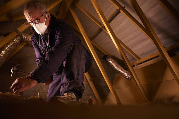 Best Specialized Insulation Services in Lynchburg, VA